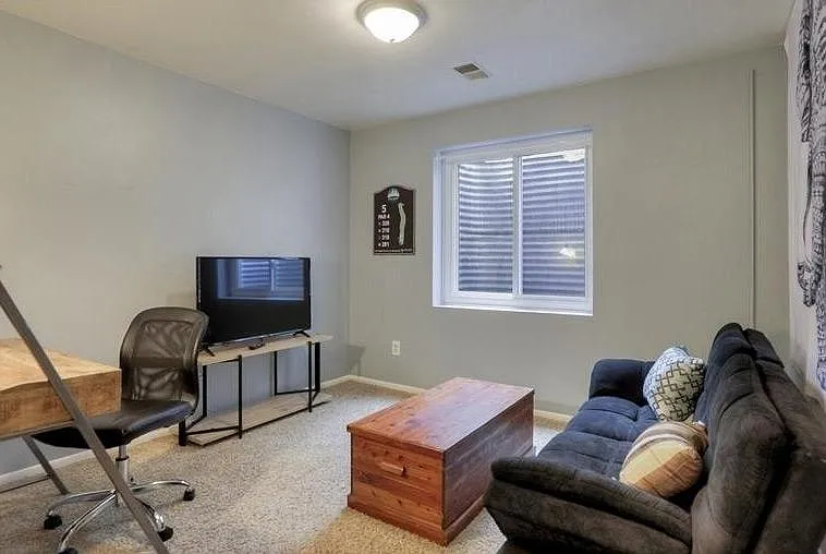 basement tv room