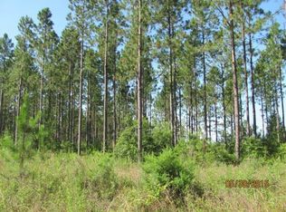 Sand Basin Rd, Grand Ridge, FL 32442
