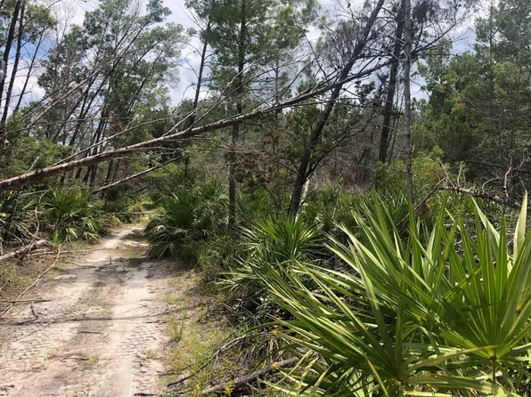 0 Patty Lane, Mims, FL 32754