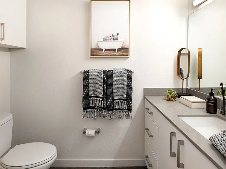 Scheme 1 Bath