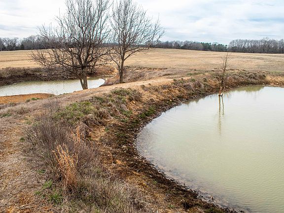 4th image of 1274 Cutoff Rd