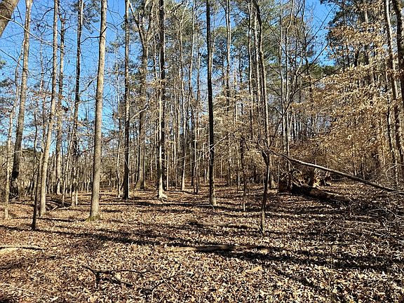 2nd image of 122/124 Lollis Rd