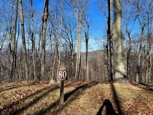 80 White Rock Trl, Caldwell, WV 24925