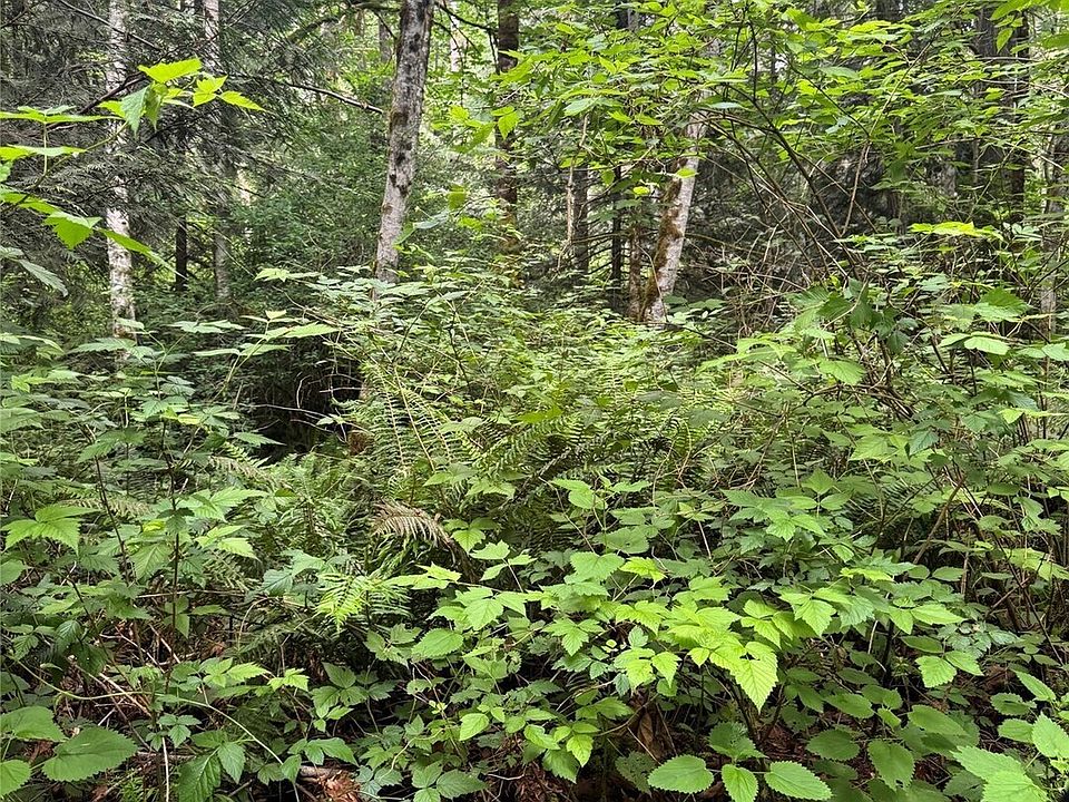 1st image of 0 XX Widme Road NE