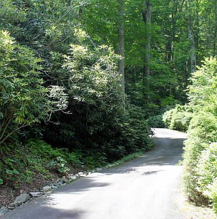 5th image of 430 Crooked Creek Ln
