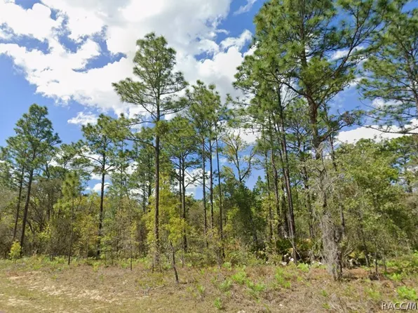 2193 W Galaxy Ln, Citrus Springs, FL 34434