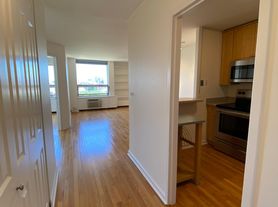 1355 N Sandburg Ter