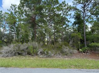 11127 N Trigger Ter, Citrus Springs, FL 34433