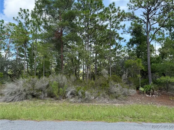 11127 N Trigger Ter, Citrus Springs, FL 34433