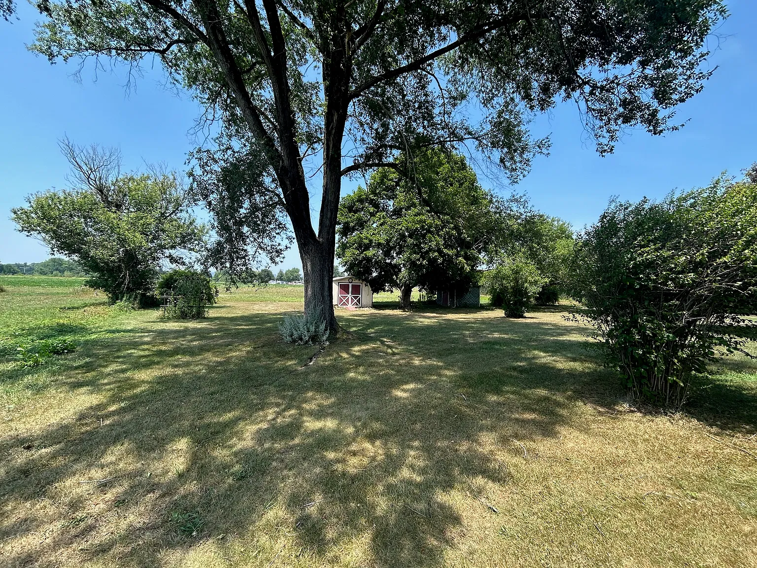 3 bed, 960 sqft, $1,500 — Photo 3