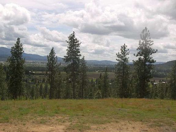 2nd image of 0 E Maddie Ln