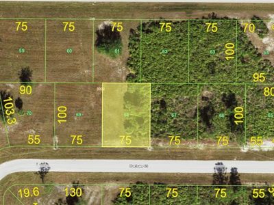 28 Dorisan Ct Lot 68, Placida, FL, 33946