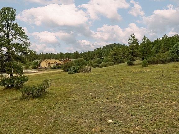 3rd image of 141 Laurel Dr