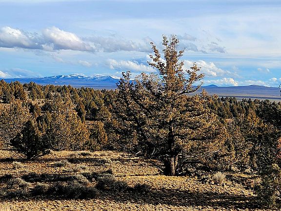 4th image of Merrill Rd #1800