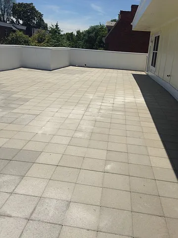 1001 Bainbridge St #7 — Photo 8