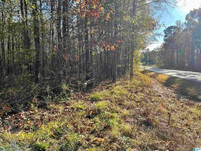 0 Old Coal City Rd #1, Pell City, AL, 35125