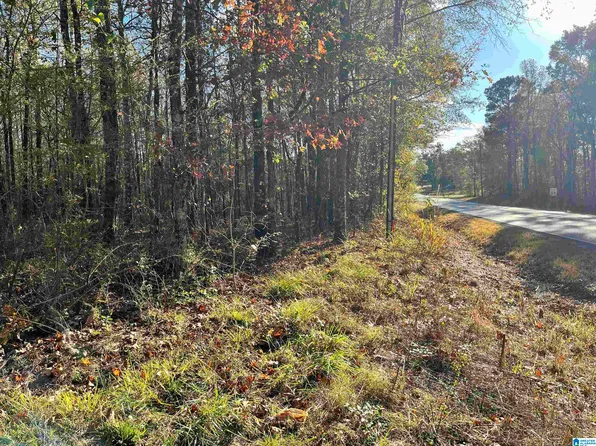 0 Old Coal City Rd #1, Pell City, AL 35125