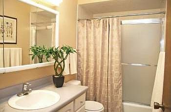 5th image of 22508 6th Ave S APT 2