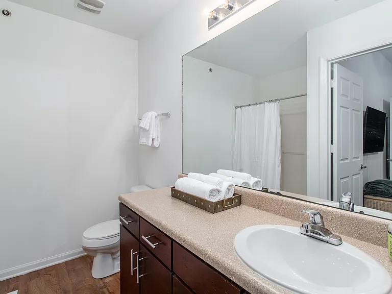Primary Bathroom.... XL Vanity and Full Size Walk In Shower with Bench...