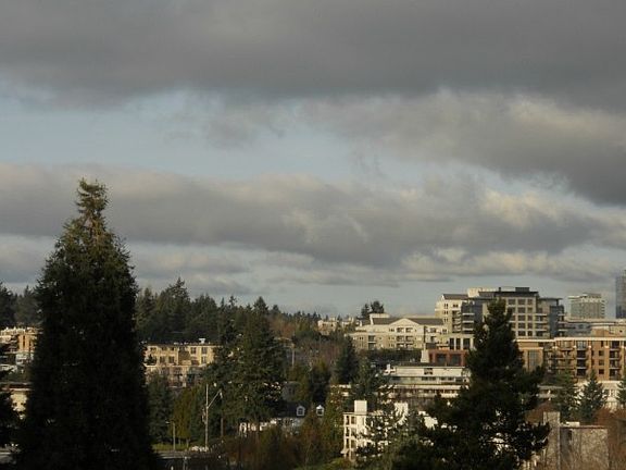 2nd image of 0 100th Ave SE