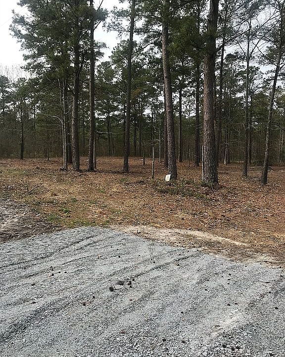 2nd image of LOT 11 Pamlico St