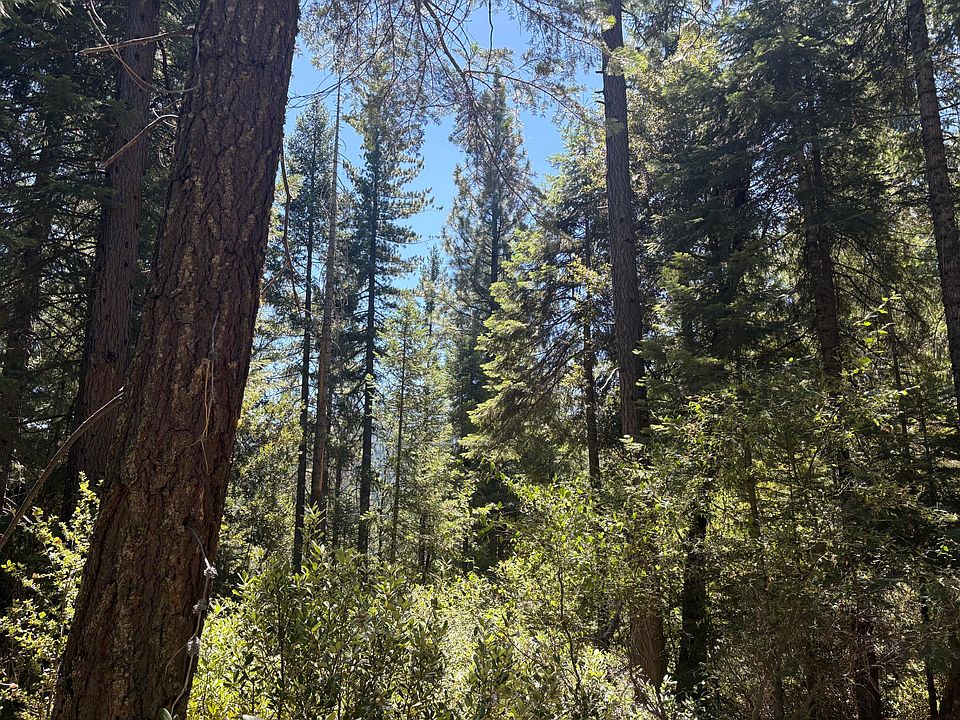 2nd image of Castle Lake Rd
