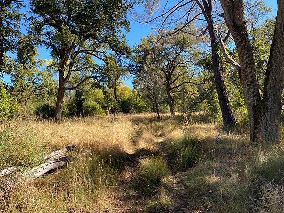 5th image of Shingletown Ridge Rd