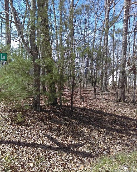 2nd image of 119 Markham Ln