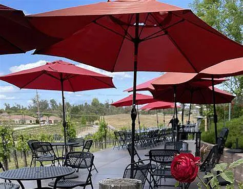 Winery View