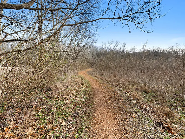 E McNelly Rd — Photo 43