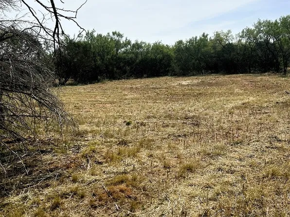 1217 County Road 127, Tuscola, TX 79562