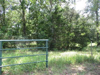 Rs County Rd #2400, Emory, TX, 75440