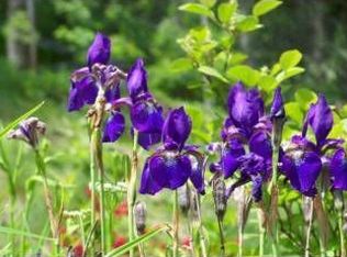 618 Bentley, Banner Elk, NC 28604