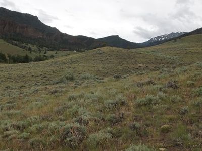 Tbd Green Creek Rd, Cody, WY, 82414