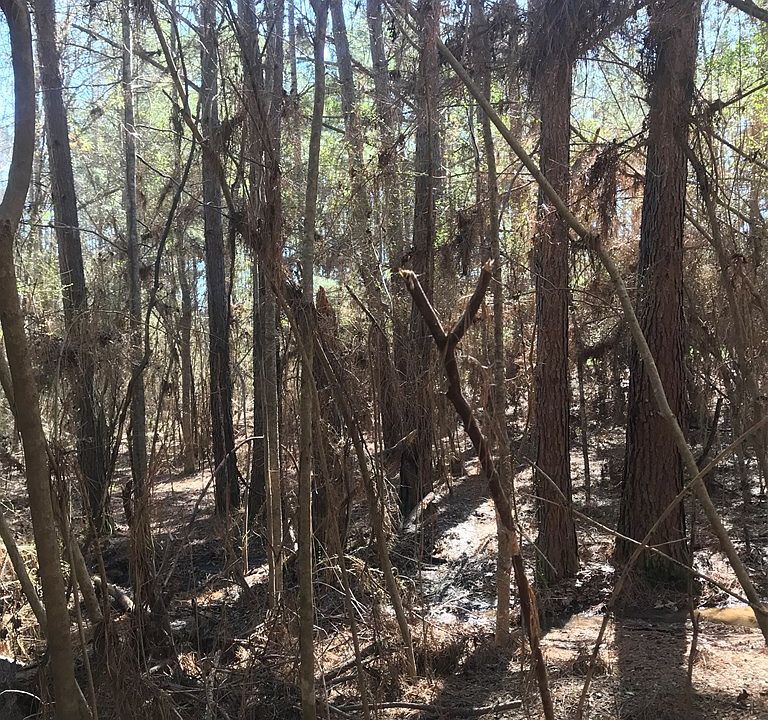 2nd image of 3172 Enterprise Rd