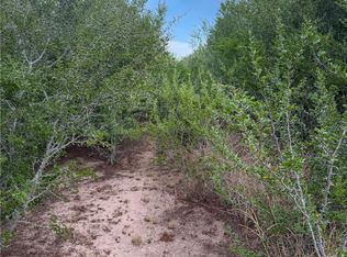 3 County Road 147, George West, TX 78022