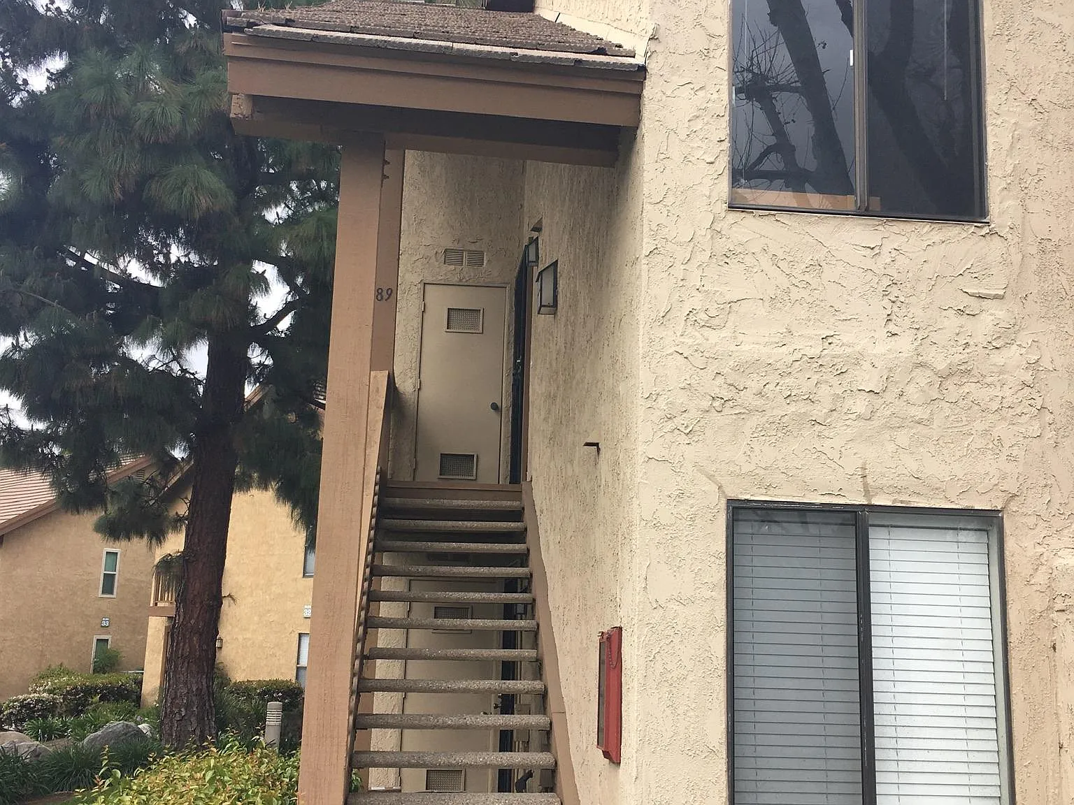 89 Tangelo — Photo 4