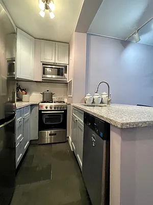 Rented by Douglas Elliman | media 16