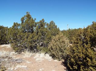 8440 Snowflake Cir, Show Low, AZ 85901