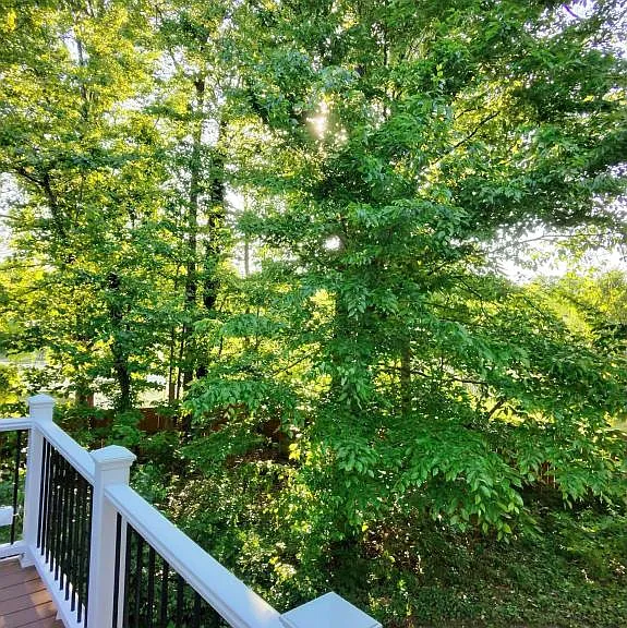 8801 Dangerfield Ct — Photo 9
