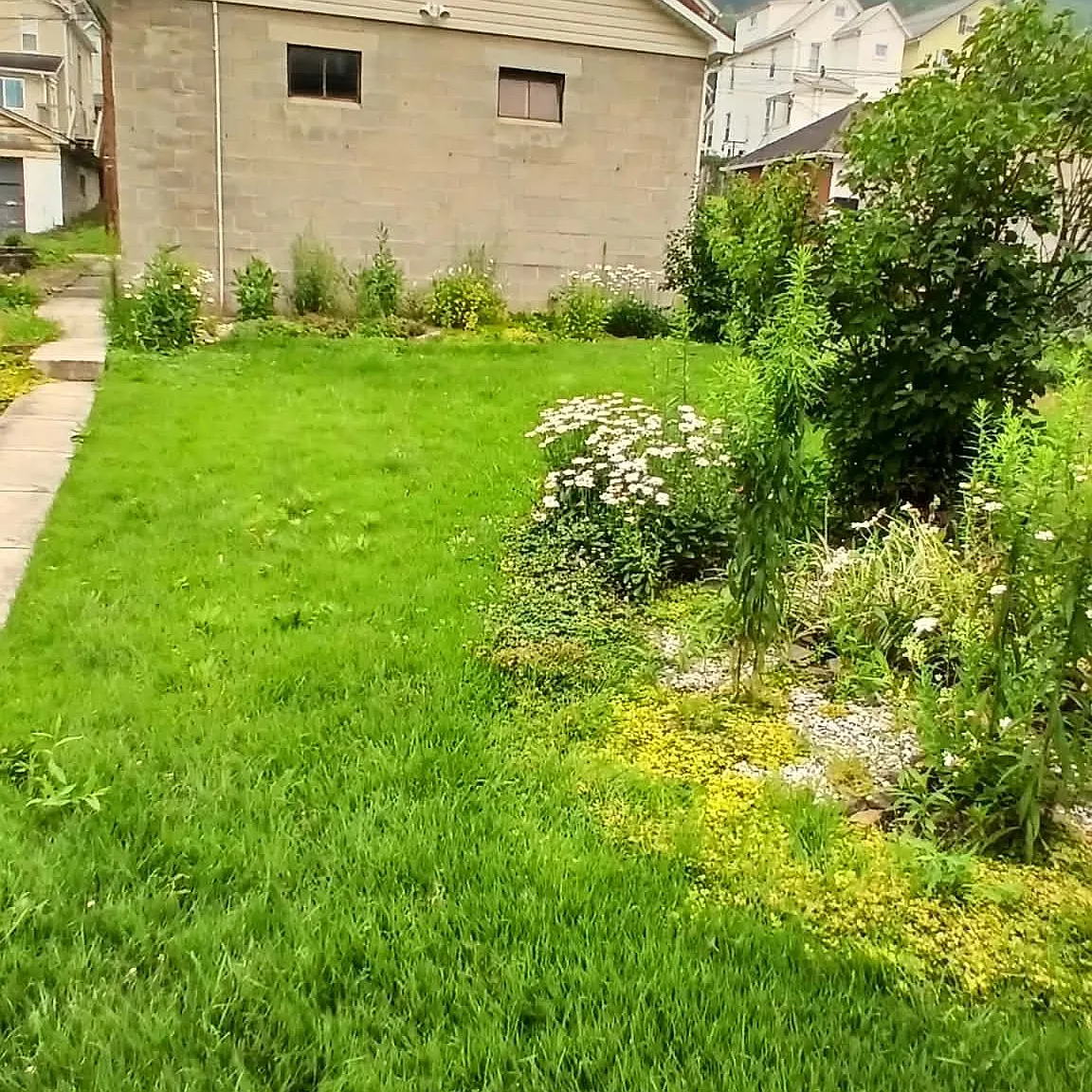 2 bed, $799 — Photo 4