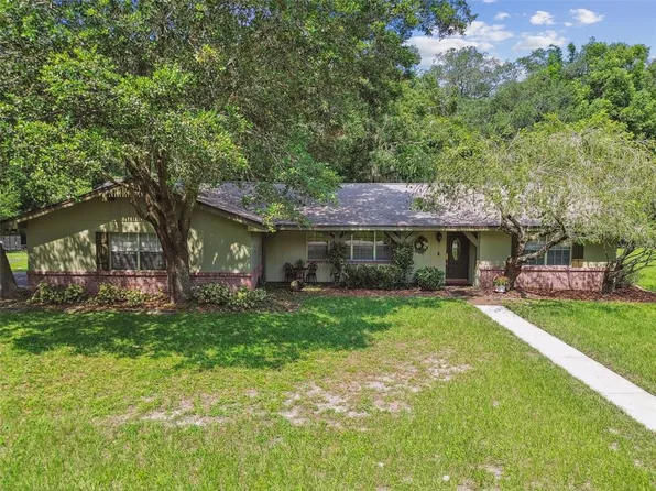 16406 Shagbark Pl, Tampa, FL 33618