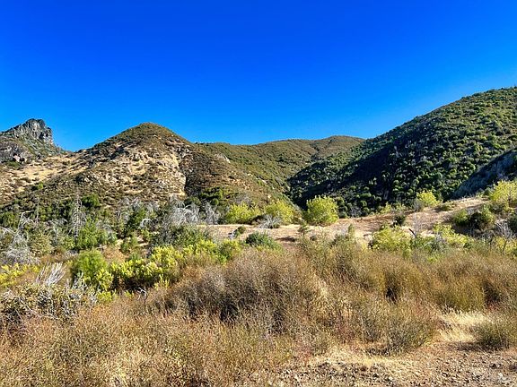 5th image of 11634 Pitney Ridge Road