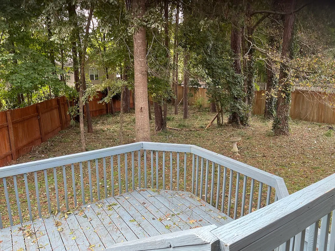 3 bed, 1210 sqft, $3,300 — Photo 4