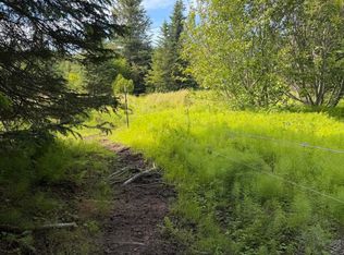 Township Road 1 Moon Ln #3, Homer, AK 99603
