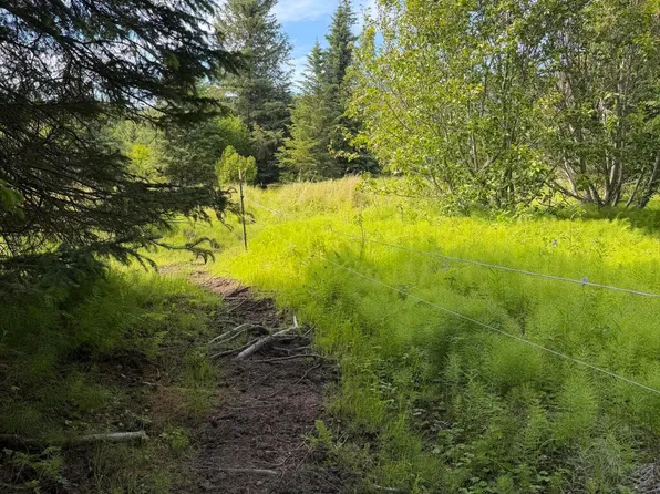 Township Road 1 Moon Ln #3, Homer, AK 99603