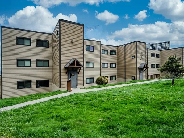 103 Sugar Ski Drive #333, Sugar Mountain, NC 28604