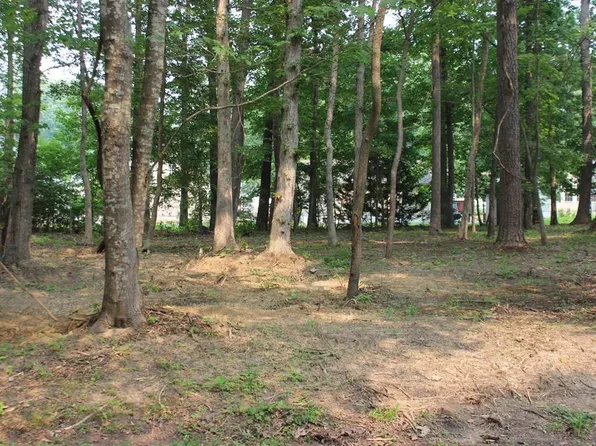 1991 Mayflower Dr #1991, Greenbackville, VA 23356