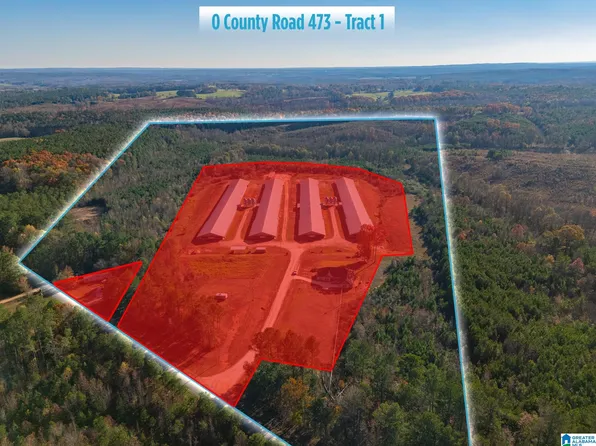 0 County Road 473 #1, Woodland, AL 36280