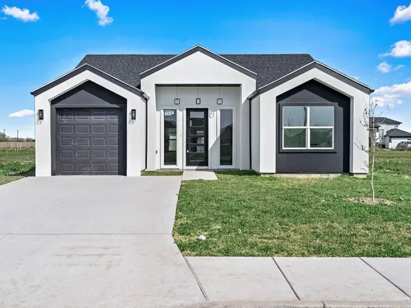 601 Tower Oak Dr, Alamo, TX 78516